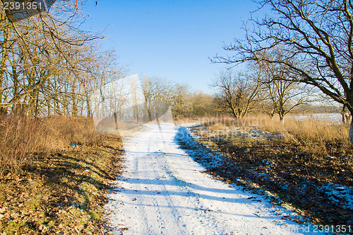 Image of winter road through the wood