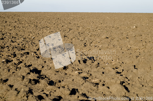 Image of black field