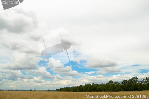 Image of landscape