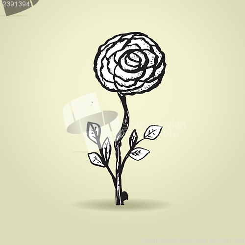 Image of Hand drawn ink rose flower on grunge beige background.