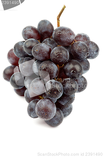 Image of Red Grape