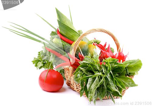 Image of Vegetable Basket