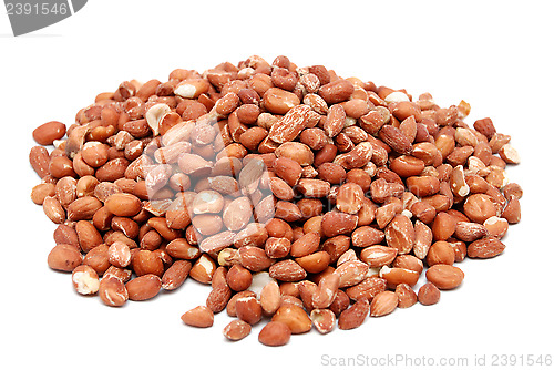 Image of Pile of shelled peanuts