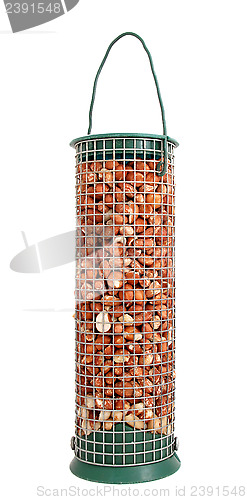 Image of Bird feeder full of peanuts