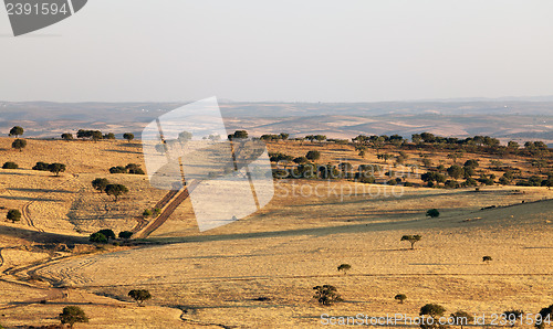 Image of Rural landscape with grassland and trees