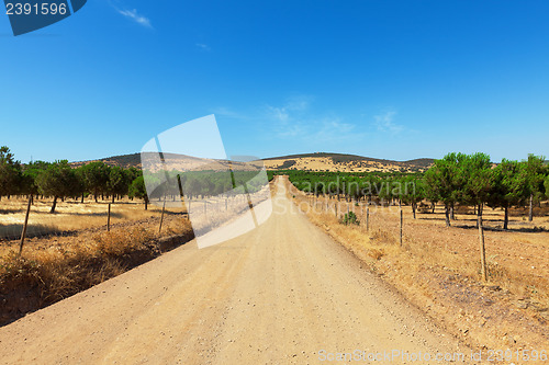 Image of Long straight gravel road