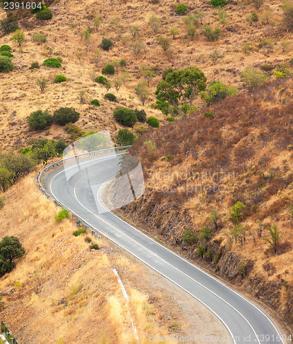 Image of Winding tarred road in the countryside