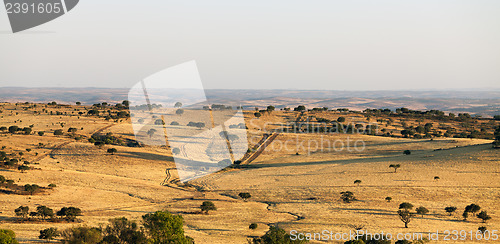 Image of Rural landscape with grassland and trees