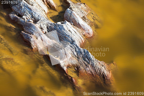 Image of Limestone rocks sticking out of the water