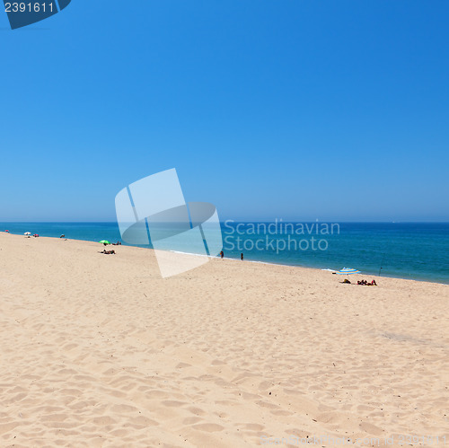 Image of Beautiful tropical beach with bathers