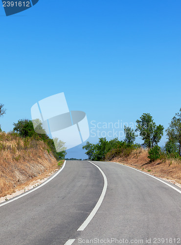 Image of Tree-lined tarred road