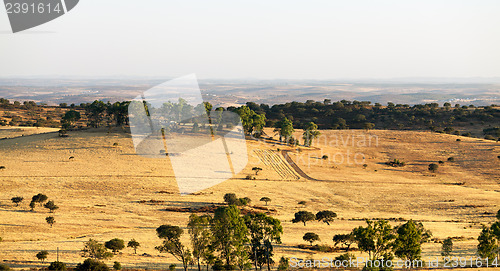 Image of Rural landscape with grassland and trees