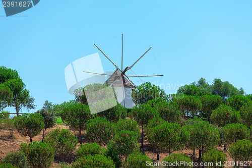 Image of Windmill above a plantation of trees