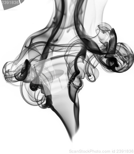 Image of Blcak abstract smoke or fume shape on white