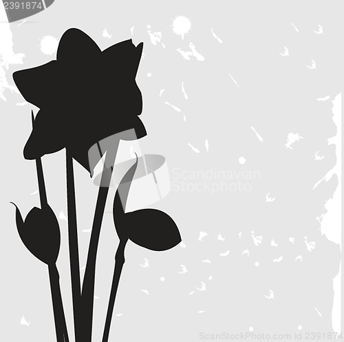 Image of Dafodills on grunge background. Vector illustration