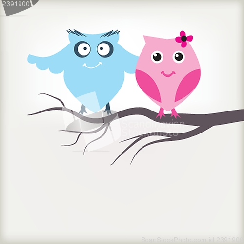 Image of Two cute owls on the tree branch