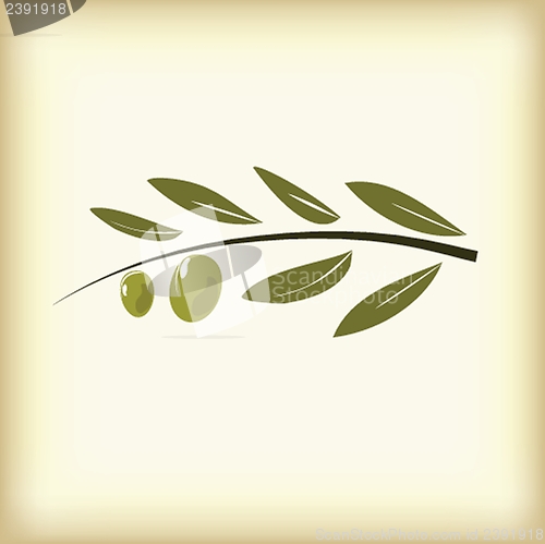 Image of Olives on branch with leaves.
