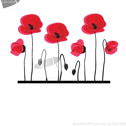 Image of Spring card with beauty poppies.