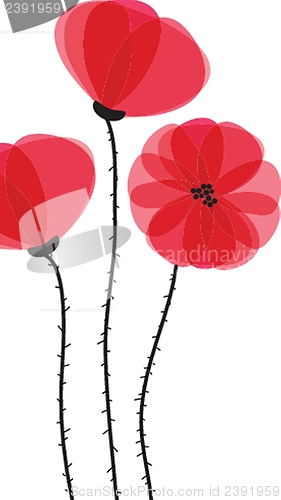 Image of Spring card with beauty poppies.