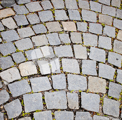 Image of paved sidewalk in the Vienna