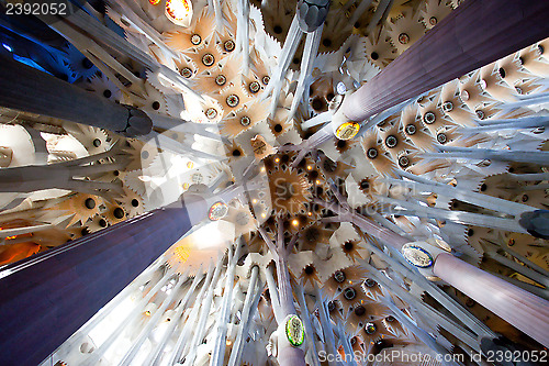 Image of La Sagrada Familia, interior