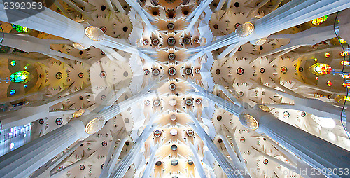 Image of La Sagrada Familia, interior