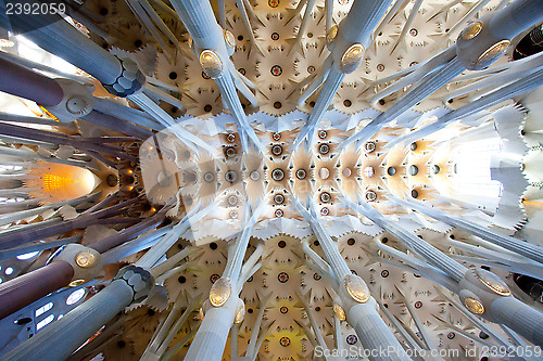 Image of La Sagrada Familia 2013