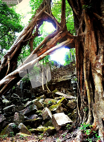 Image of Jungle temple
