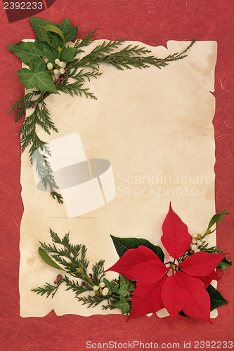 Image of Poinsettia Decorative Border