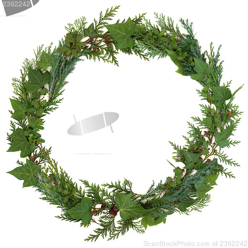 Image of Winter Wreath