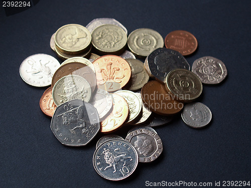 Image of Pounds