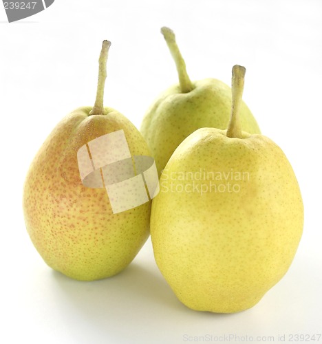 Image of three fragrant pears