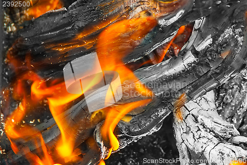 Image of fire