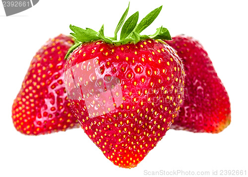 Image of just juicy strawberries