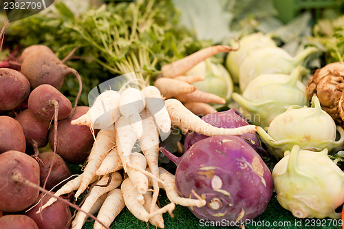 Image of fresh root vegetable carrot potatoes onion beet on market 