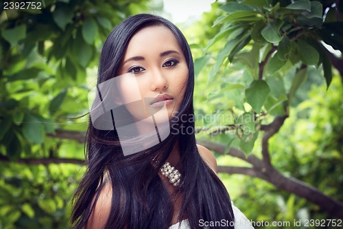 Image of attractive young asian woman beauty portrait 