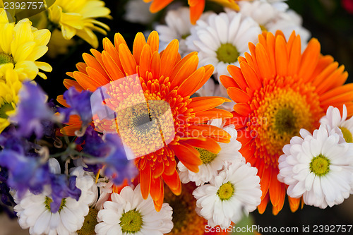 Image of beautiful colorful collection of flowers spring summer celebration