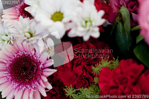 Image of beautiful colorful collection of flowers spring summer celebration