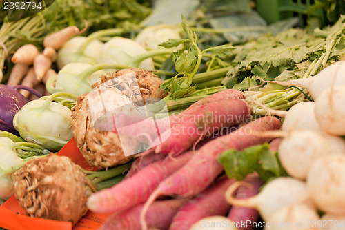 Image of fresh root vegetable carrot potatoes onion beet on market 