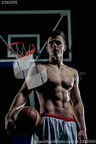 Image of Basketball player portrait