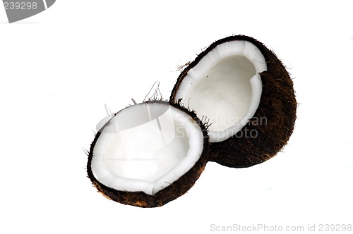 Image of Coconut