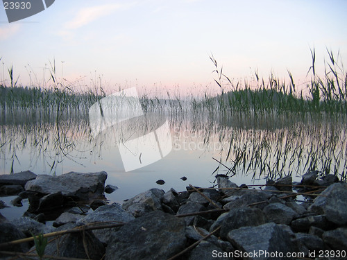 Image of Misty lake at dawn