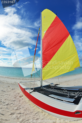 Image of tropical beach