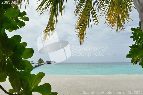 Image of tropical beach