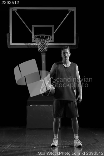 Image of Basketball player portrait