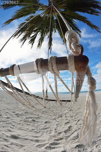 Image of tropical beach