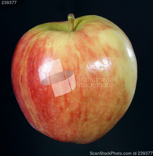 Image of Apple