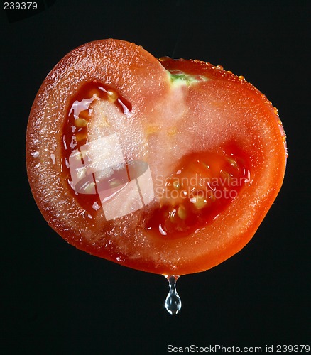 Image of Tomato