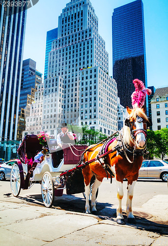 Image of Horse carriage at the Central park in New York City 