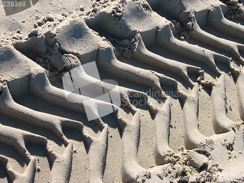 Image of Track on the beach